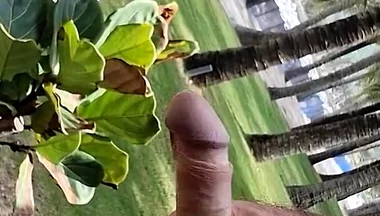 Public Beach Cock Flash