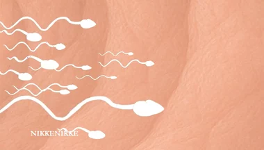 Yaoi: Spermtazoid Game: Level up in Her Stuffed Little Ass