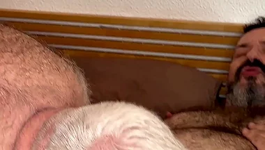 bears