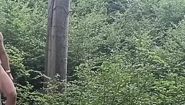 Between the Beeches: Rough Exhibition on Bare Wood